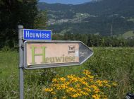 Heuwiese-2023042